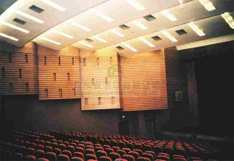 拉萨文化宫(图2)