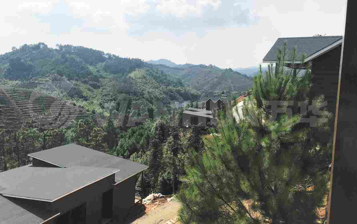 广西六堡特色小镇(图2)