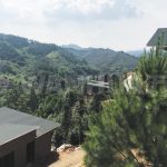 广西六堡特色小镇(图8)